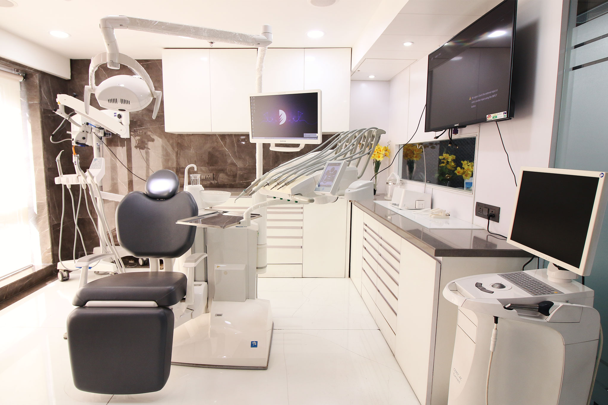 clinic insignis | Dental World